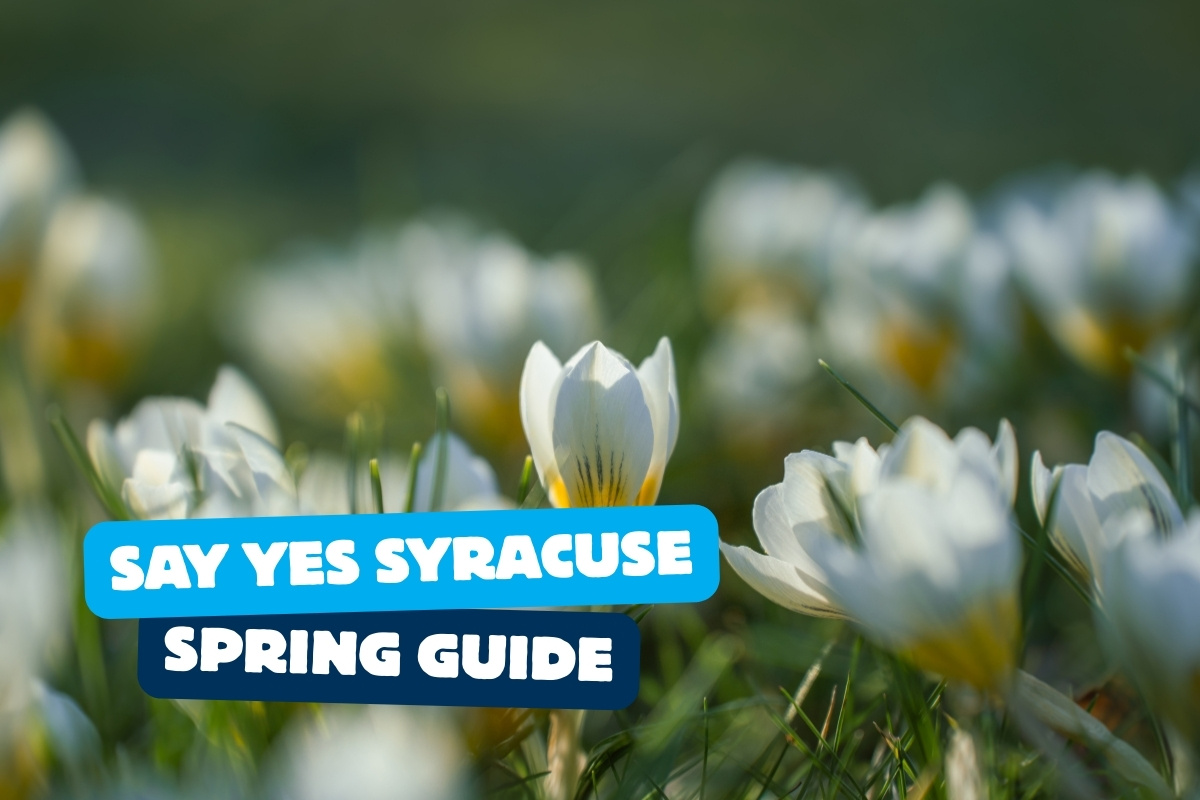 Hoa tulip nở rộ với dòng chữ in nổi "Hướng dẫn mùa xuân Say Yes Syracuse".